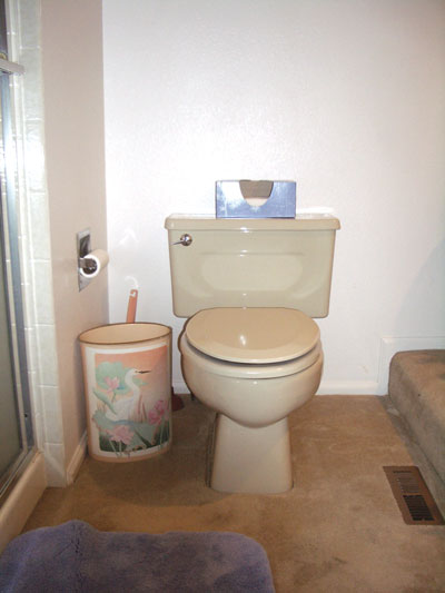 The downstairs rec room has CORK FLOORING that minimizes noise and provides a well-insulated surface.